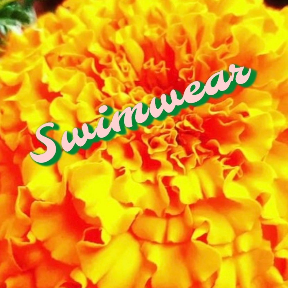 Swimwear